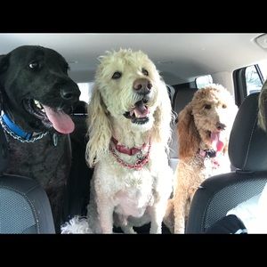 Meet your Posher, Shannon